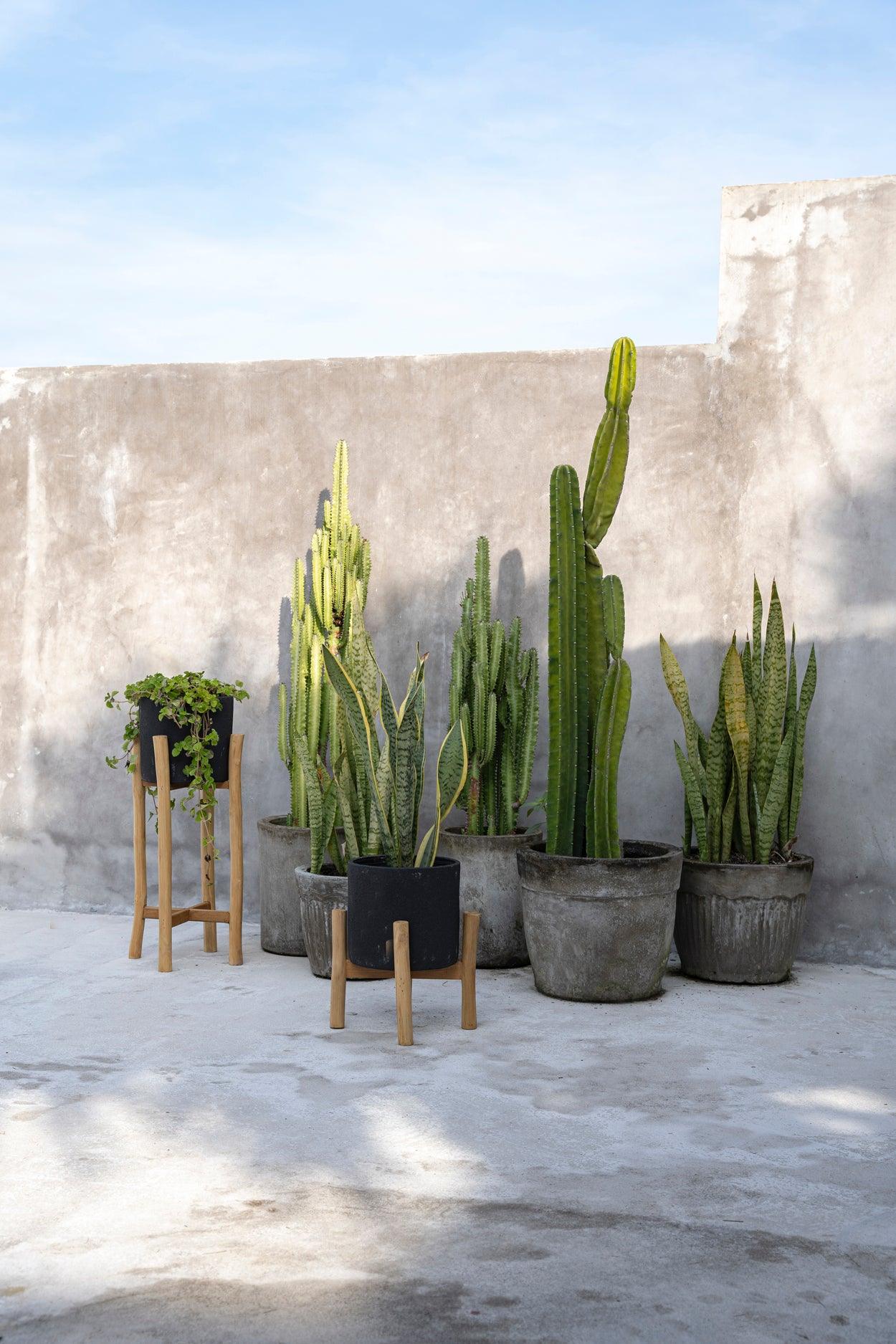 De Charcoal Hoge Plantenbak - Zwart - Small , Vaas/pot/kruik , Bazar Bizar , livinglovely.nl