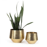 De Gehamerde Planter - Messing - XL , Vaas/pot/kruik , Bazar Bizar , livinglovely.nl