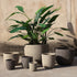 Delsey Sand GRC Structure Pot Big Set Of 3 van PTMD, set van drie zandkleurige GRC potten met structuur