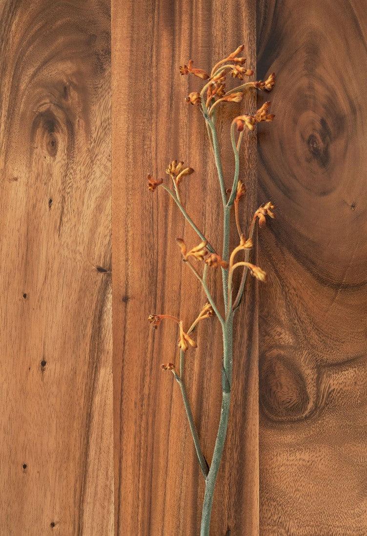 DTP Home Boekenkast Flare Hoog - Boekenkast - DTP Home - livinglovely.nl