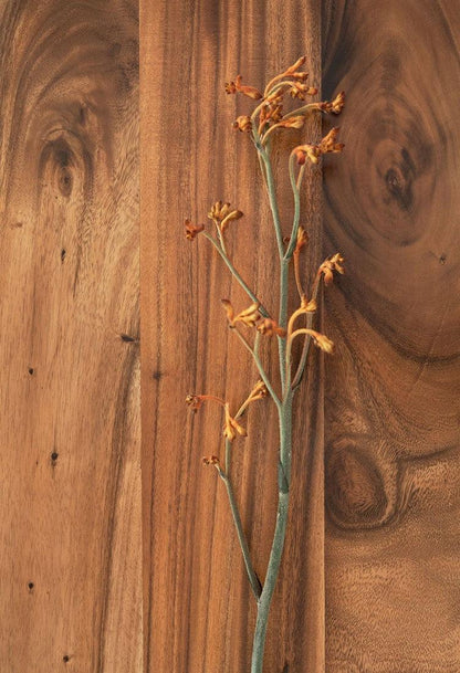 DTP Home Boekenkast Flare Laag - Boekenkast - DTP Home - livinglovely.nl