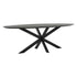 DTP Home Timeless black Eettafel Shape Ovaal 200cm - Eetkamertafel - DTP Home - livinglovely.nl
