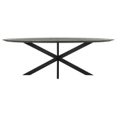 DTP Home Timeless black Eettafel Shape Ovaal 280cm - Eetkamertafel - DTP Home - livinglovely.nl