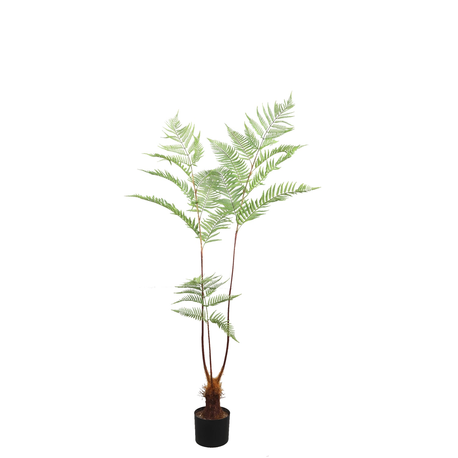 Fern Plant Green Sword Fern Plant In Black Pot 125x70x150cm PTMD - Kunstplant - PTMD - livinglovely.nl