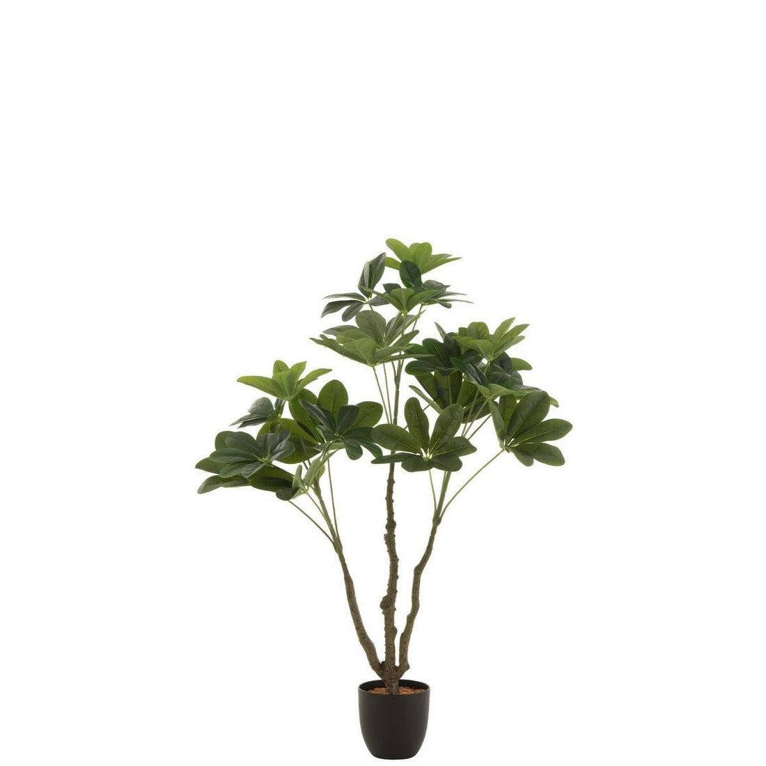 Geldboom In Pot Plastiek Groen Small - Kunstplant - J-Line - livinglovely.nl