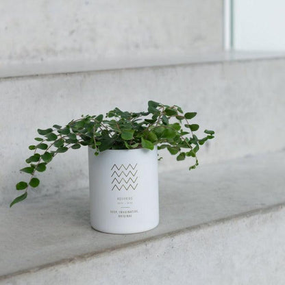 Geurkaars Astro Waterman Wit-50u - Geurkaars - J-Line - livinglovely.nl