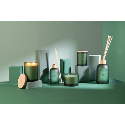Geurstokjes Accords Essentiels Bois Givré 250ml