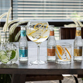 Gin Glazen Transparant/Zilver Giftbox Set van 4 - Gin glas - J-Line - livinglovely.nl
