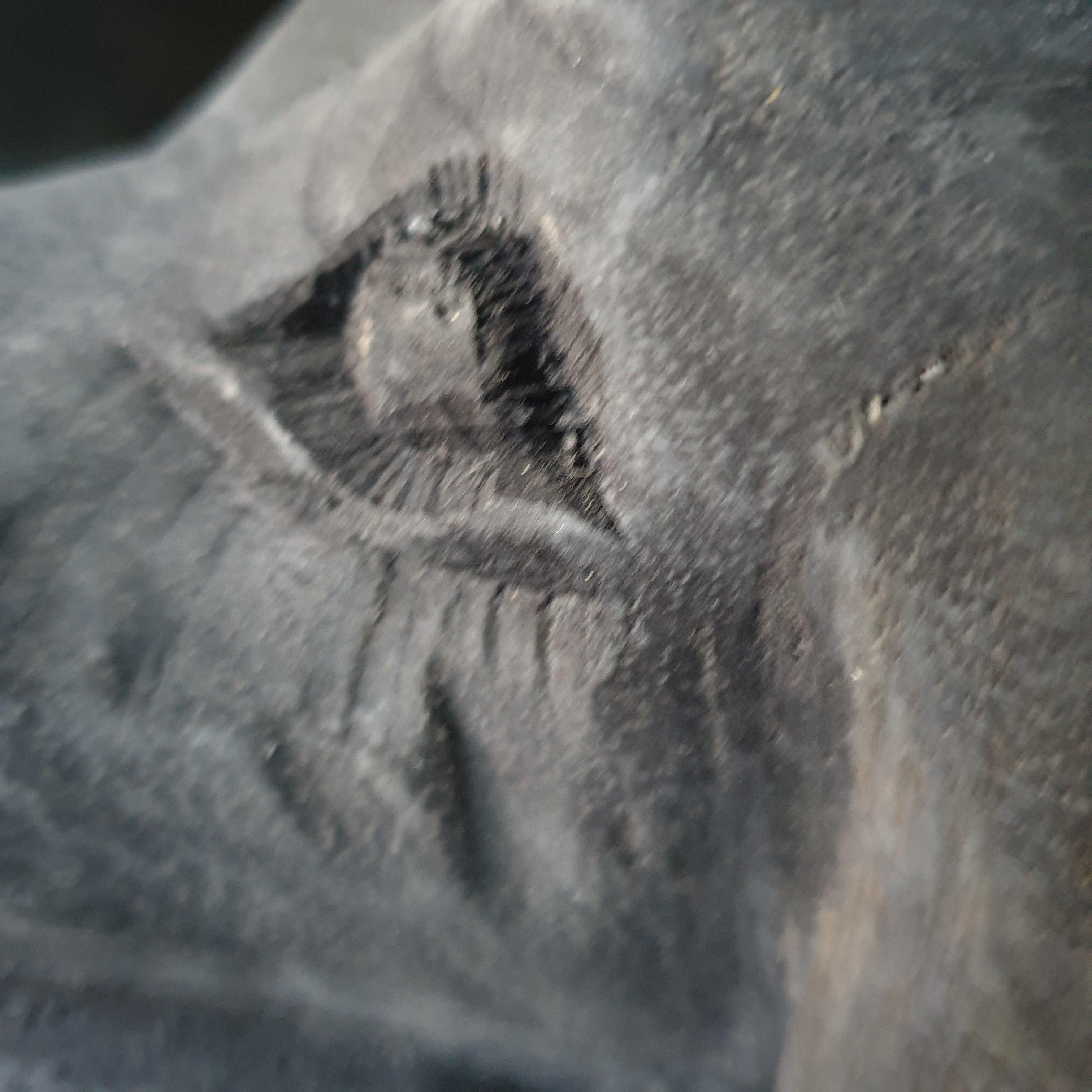 Hondenkop Sarah - Beeld - Living Lovely - livinglovely.nl