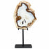 Josha Ornament Koraal Kristal Naturel Plak Small van PTMD, plak natuursteen als decoratief ornament op witte achtergrond