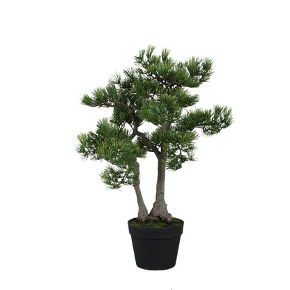 Kunstboom den van PTMD in groen met zwarte pot, 65 cm hoog