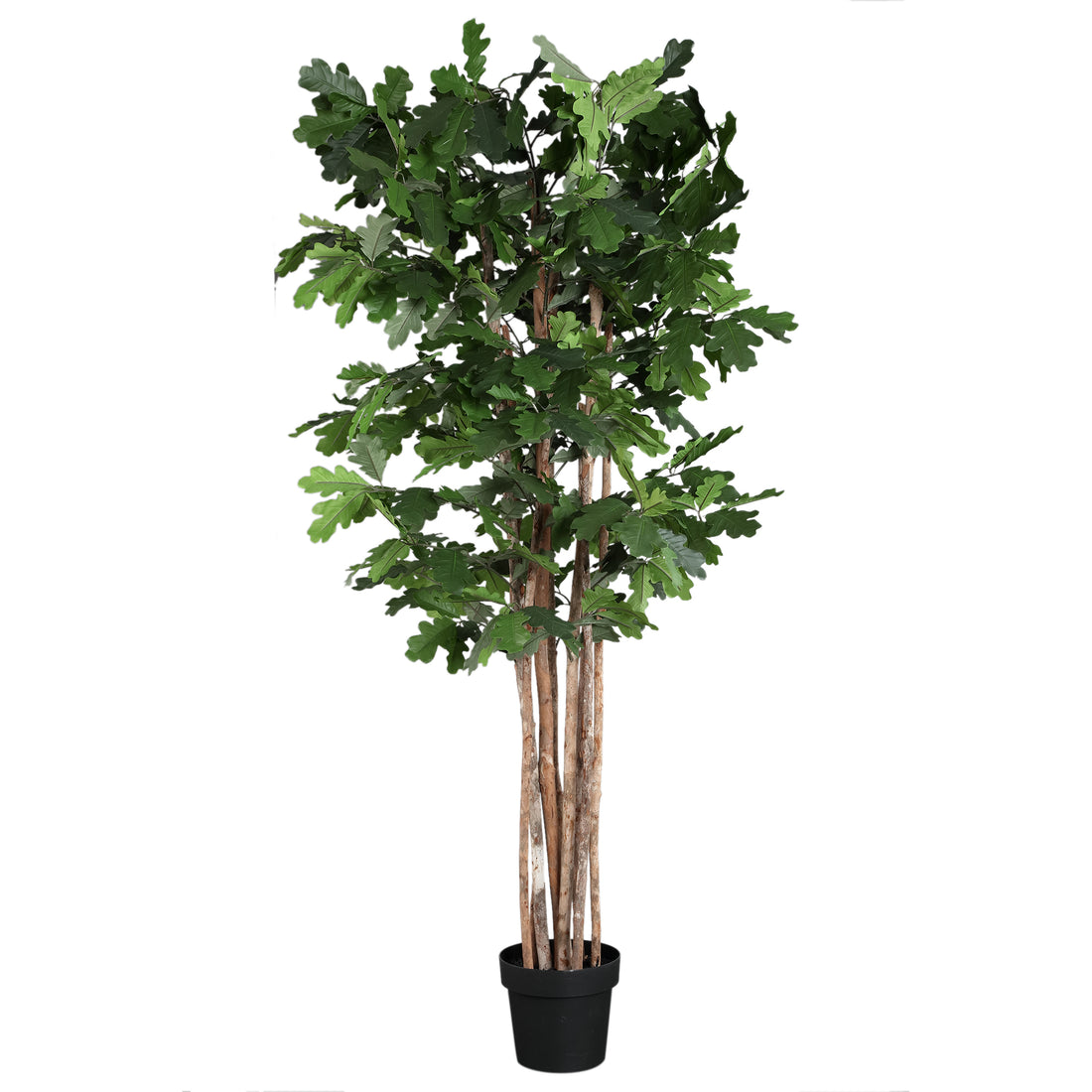 Kunsteik van PTMD, 170 cm hoog inclusief pot