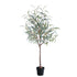 Kunstboom eucalyptus van PTMD in donkergroen met zwarte pot, 150 cm hoog