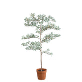 Kunstboom madagaskaramandel van PTMD in groen met zwarte pot, 115 cm hoog