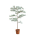 Kunstboom madagaskaramandel van PTMD in groen met zwarte pot, 115 cm hoog