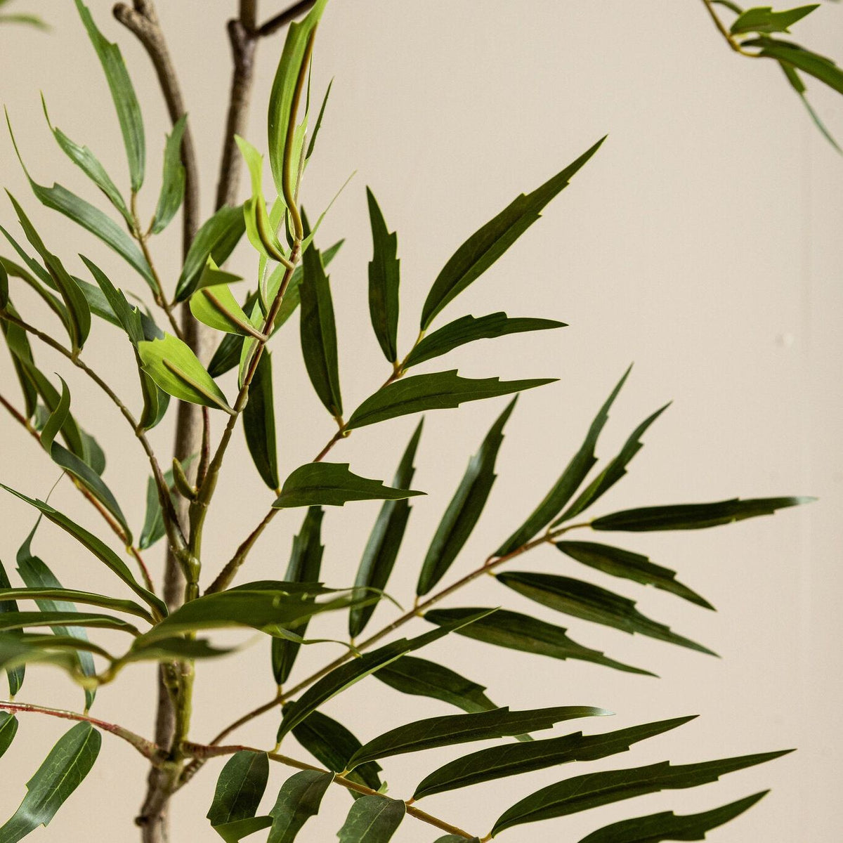 Detail van de smalle getande bladeren van de Mahonia Fortunei kunstboom van PTMD