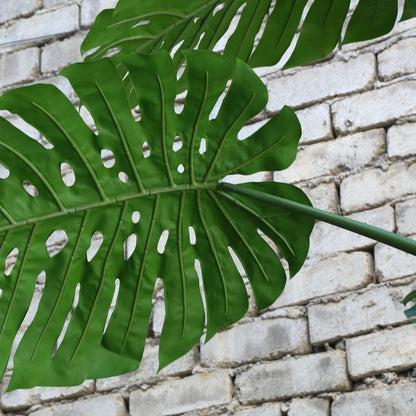 Detail van de ingesneden bladeren van de grote kunstmonstera van PTMD