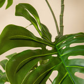 Hoge kunstmonstera van PTMD gefotografeerd in een gestyled interieur