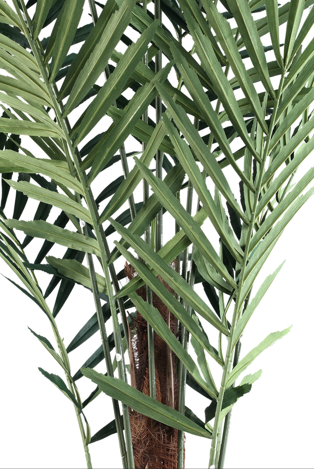 Groene kunstpalm van PTMD van opzij met uitwaaierende geveerde bladeren