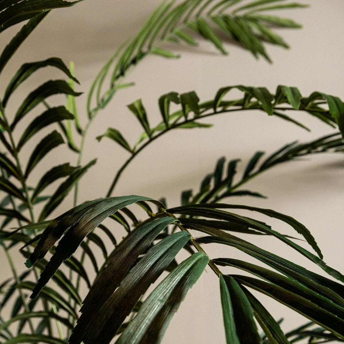 Detail van de geveerde palmbladeren van de grote kunstpalm van PTMD