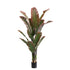 Kunstboom strelitzia van PTMD in donkergroen met rood en zwarte pot