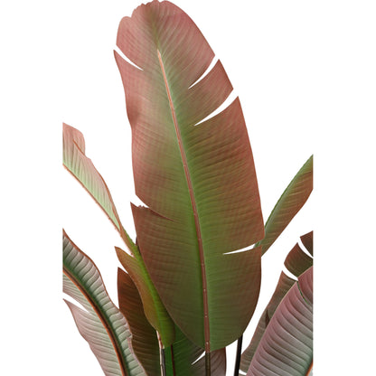 Kunststrelitzia van PTMD van opzij met grote peddelvormige bladeren