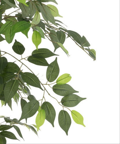 Diepgroen blad van de kunstficus van J-Line van dichtbij op de houten stam