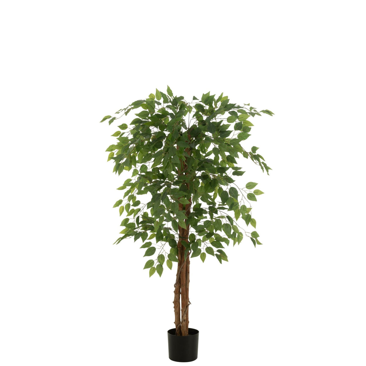 Kunstficus In Pot Lichtgroen van J-Line, ficus met fris lichtgroen blad van 150cm hoog