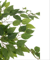 Lichtgroen blad van de kunstficus van J-Line van dichtbij op de houten stam