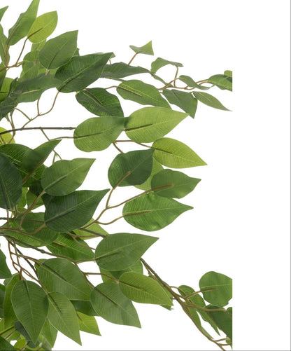 Lichtgroen blad van de kunstficus van J-Line van dichtbij op de houten stam