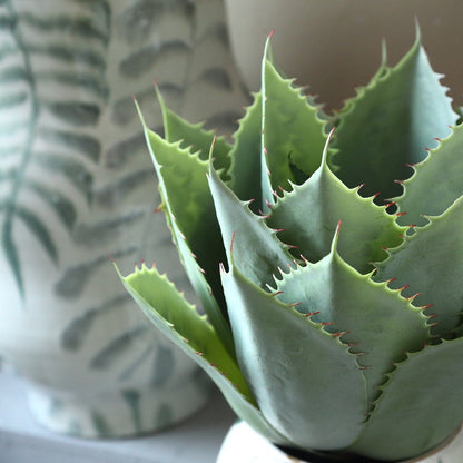 Detail van de dikke spitse bladeren van de groene kunstagave van PTMD