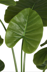 Groene kunstalocasia van PTMD van opzij met pijlvormige bladeren op slanke stelen