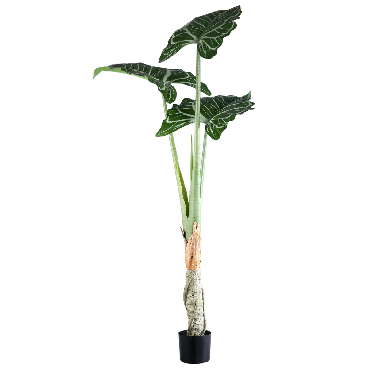Grote kunstplant alocasia van PTMD in groen met zwarte pot, 160 cm hoog