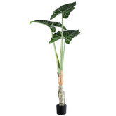 Grote kunstplant alocasia van PTMD in groen met zwarte pot, 160 cm hoog