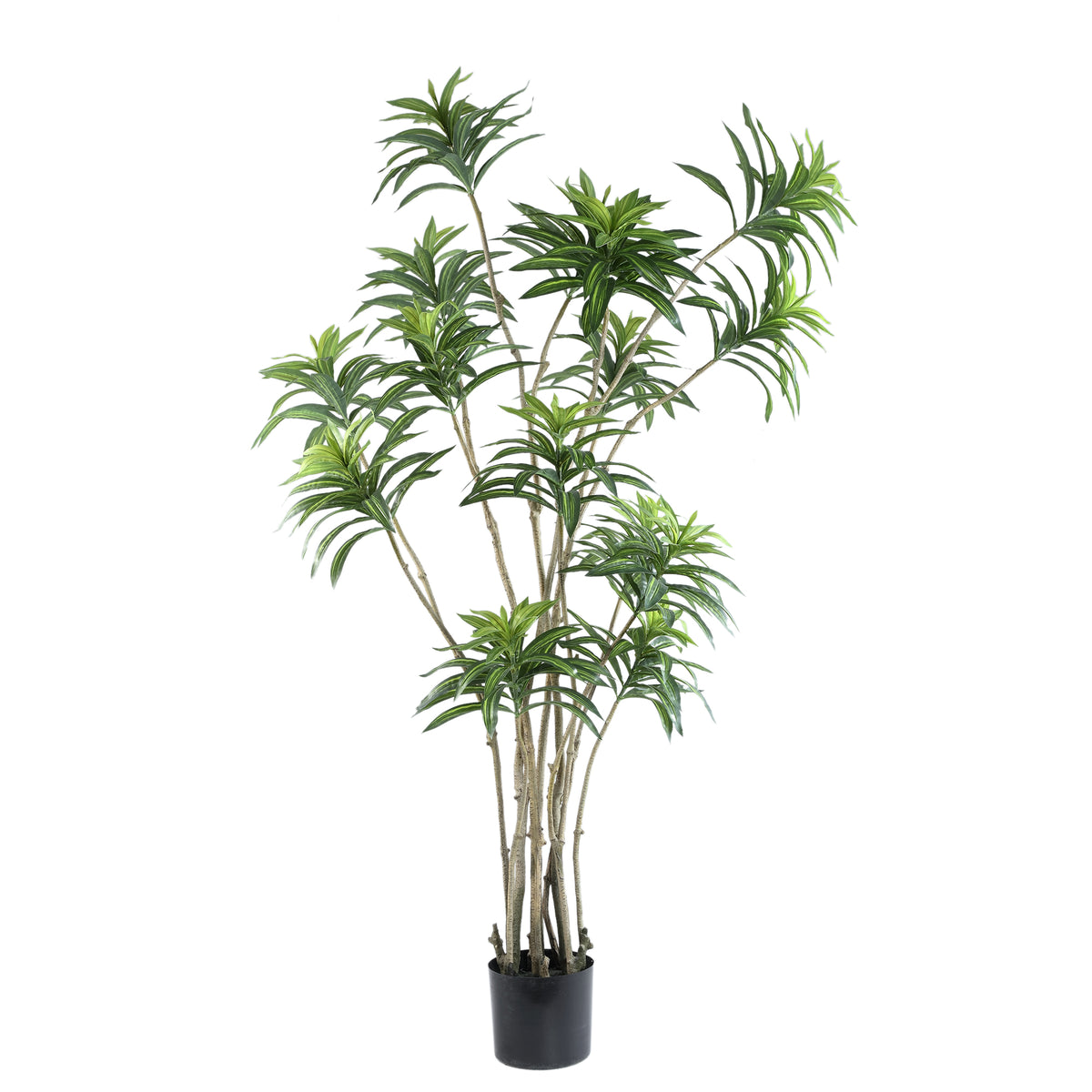 Kunstplant dracaena van PTMD in groen met zwarte pot, 155 cm hoog