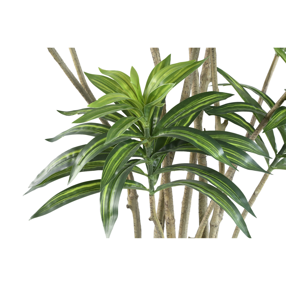 Groene kunstdracaena van PTMD van opzij met zicht op de slanke stam
