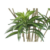 Groene kunstdracaena van PTMD van opzij met zicht op de slanke stam