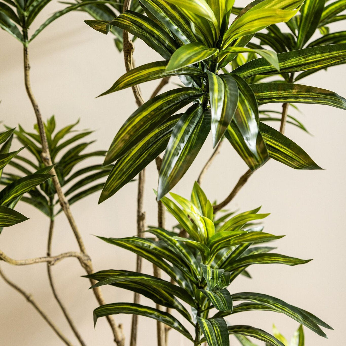 Detail van de smalle bladpluim van de groene kunstdracaena van PTMD