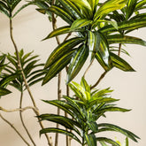 Detail van de smalle bladpluim van de groene kunstdracaena van PTMD