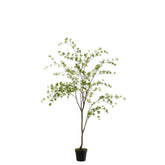 Kunstplant Fijne Bladeren Kunststof Groen Zwart van J-Line, luchtige plant van 192cm in zwarte pot
