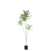Kunstplant mimosa van PTMD in groen met pot, 175 cm hoog