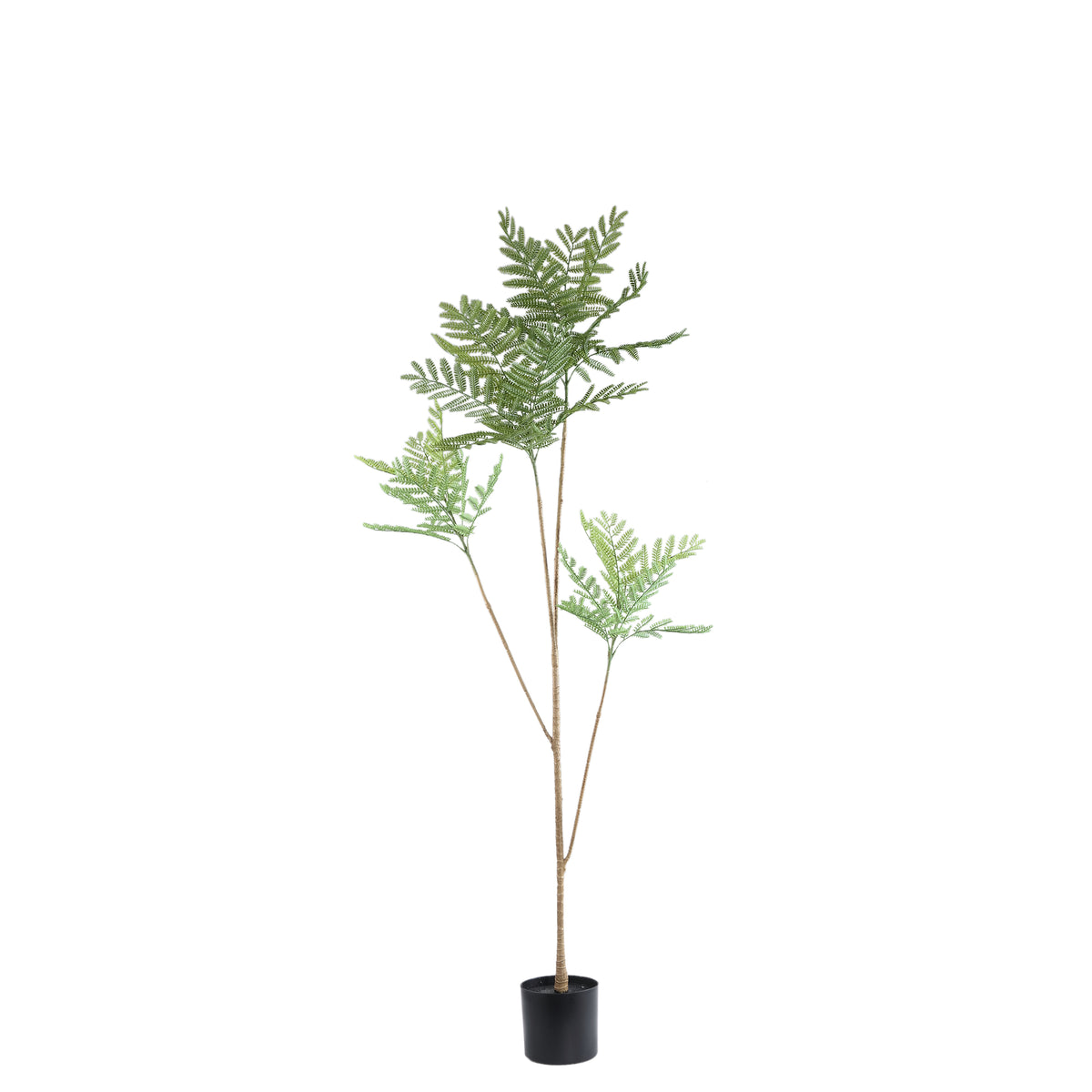 Kunstplant mimosa van PTMD in groen met pot, 175 cm hoog