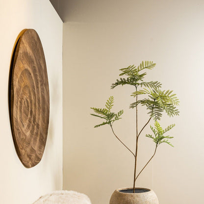 Kunstmimosa van PTMD met fijn geveerd blad gestyled voor een raam