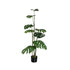 Kunstplant monstera van PTMD in groen, 120 cm hoog