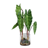Kunstplant philodendron van PTMD in groen met glazen vaas, 80 cm hoog
