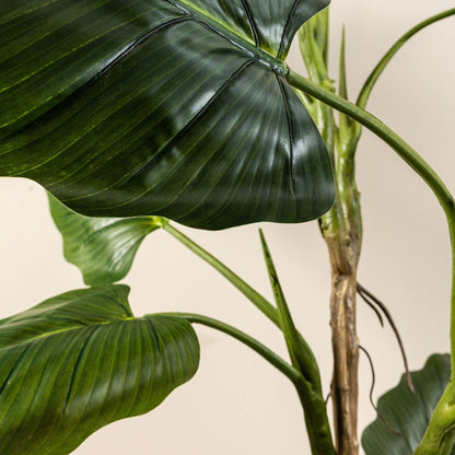 Detail van het glanzende blad met diepe nerven van de kunstphilodendron van PTMD