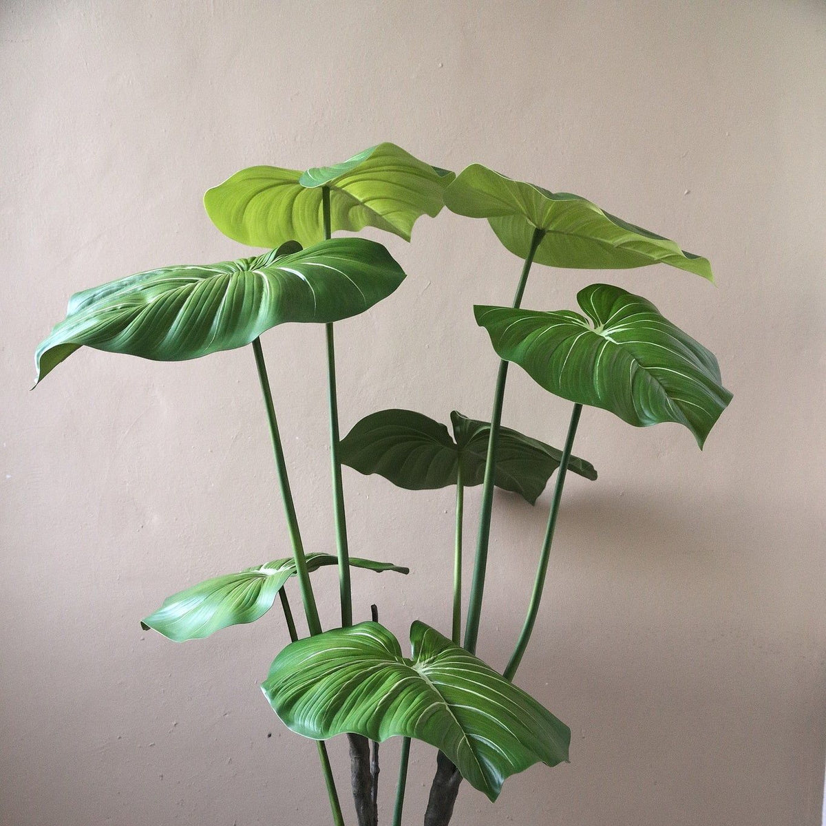 Grote kunstphilodendron van PTMD in zwarte pot gestyled naast een bank