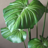 Detail van het brede glanzende blad van de kunstphilodendron van PTMD