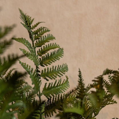 Detail van de gevederde bladeren van de groene kunstvaren van PTMD