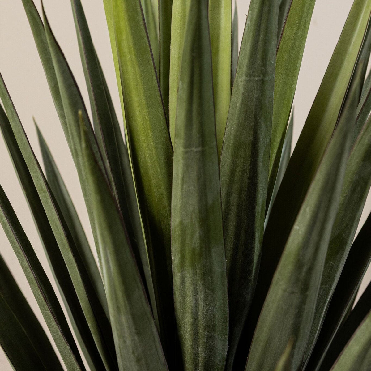 Detail van de spitse groene bladeren van de kunstyucca van PTMD